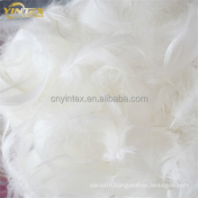 Pillow Filling Material Goose Down Feathers Wholesale